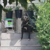 Illustration : &laquo; Il conna&icirc;t d&eacute;j&agrave; le pire de l&rsquo;&ecirc;tre humain &raquo;, ce jeune chien vivait enferm&eacute; dans une caisse en plein soleil avant d'&ecirc;tre secouru (vid&eacute;o)