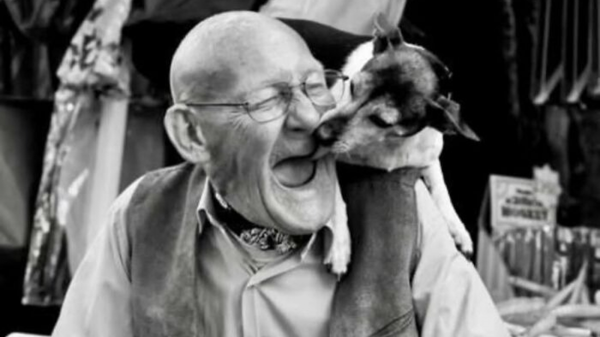 Illustration : "13 photos prouvant que les chats et les chiens peuvent être à la fois drôles et touchants"