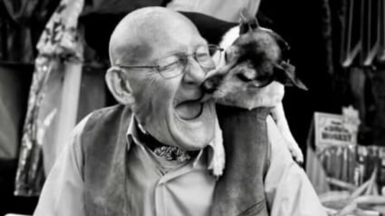 Illustration : 13 photos prouvant que les chats et les chiens peuvent &ecirc;tre &agrave; la fois dr&ocirc;les et touchants