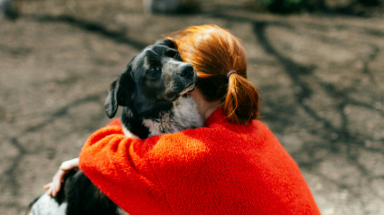 Illustration : Une &eacute;tude prouve que les chiens cherchent activement &agrave; consoler les humains qui pleurent