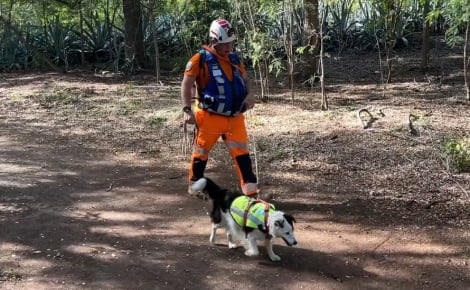 A La Réunion, 2 chiens au flair exceptionnel détectent des fuites d'eau invisibles et aident à préserver la précieuse ressource