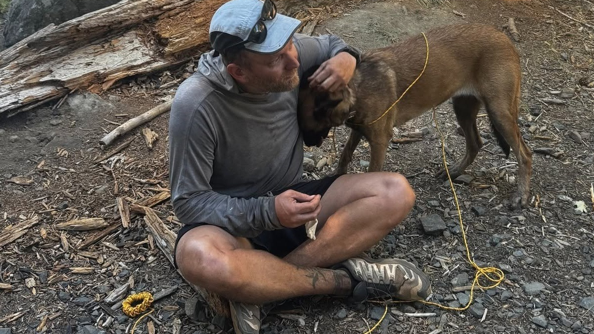 Illustration : "Des secouristes de montagne en entraînement attirent une chienne perdue avec des morceaux d'omelette et la restituent saine et sauve à sa famille"