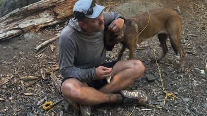Illustration : Des secouristes de montagne en entra&icirc;nement attirent une chienne perdue avec des morceaux d'omelette et la restituent saine et sauve &agrave; sa famille