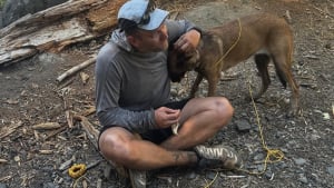 Illustration : Des secouristes de montagne en entra&icirc;nement attirent une chienne perdue avec des morceaux d'omelette et la restituent saine et sauve &agrave; sa famille