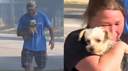 Illustration : Les larmes de joie d'une femme voyant un voisin h&eacute;ro&iuml;que lui ramener son chien perdu lors de l'incendie ayant d&eacute;truit sa maison (vid&eacute;o)