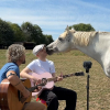 Illustration : &laquo; Regardez ce sourire ! &raquo;, un cheval curieux s'approche de 2 musiciens et se d&eacute;tend en &eacute;coutant leur chanson (vid&eacute;o)