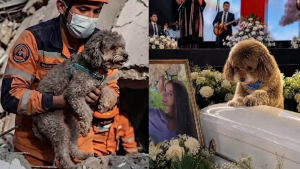 Illustration : « Ma sœur a donné sa vie pour lui », une femme se sacrifie pour sauver son vieux chien aveugle lors d'un séisme