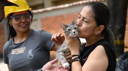 Illustration : &laquo; Un moment indescriptible &raquo;, une femme retrouve son chat sorti des d&eacute;combres de son immeuble le lendemain d'un s&eacute;isme (vid&eacute;o)
