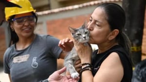 Illustration : « Un moment indescriptible », une femme retrouve son chat sorti des décombres de son immeuble le lendemain d'un séisme (vidéo)