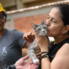 Illustration : &laquo; Un moment indescriptible &raquo;, une femme retrouve son chat sorti des d&eacute;combres de son immeuble le lendemain d'un s&eacute;isme (vid&eacute;o)