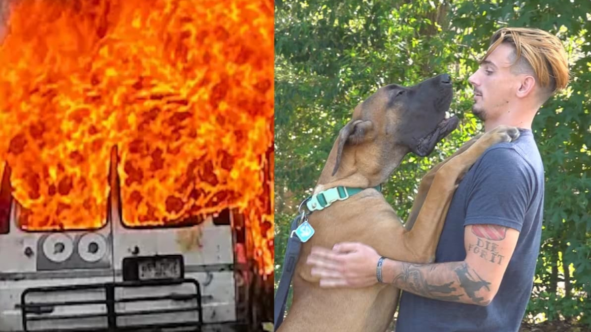 Illustration : "Alors que les flammes détruisent la totalité de ses biens, cet homme n’a qu’une priorité, sauver son Dogue Allemand à tout prix"