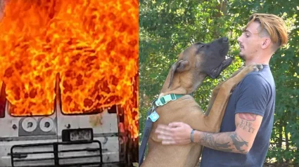Illustration : Alors que les flammes d&eacute;truisent la totalit&eacute; de ses biens, cet homme n&rsquo;a qu&rsquo;une priorit&eacute;, sauver son Dogue Allemand &agrave; tout prix