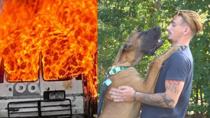 Illustration : Alors que les flammes détruisent la totalité de ses biens, cet homme n’a qu’une priorité, sauver son Dogue Allemand à tout prix