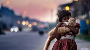 Illustration : 12 photos de chats errants immortalis&eacute;s par un photographe de rue