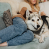 Illustration : Pourquoi votre chien s'endort-il en vous tournant d&eacute;lib&eacute;r&eacute;ment le dos ?