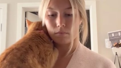 Illustration : Ce chat de refuge dont personne ne voulait se love maintenant tous les soirs dans le cou de sa propri&eacute;taire qui cuisine (vid&eacute;o)