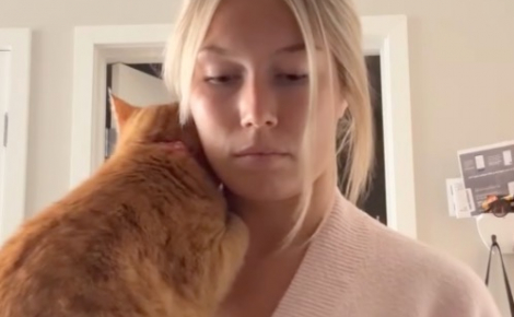 Ce chat de refuge dont personne ne voulait se love maintenant tous les soirs dans le cou de sa propriétaire qui cuisine (vidéo)