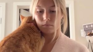 Illustration : Ce chat de refuge dont personne ne voulait se love maintenant tous les soirs dans le cou de sa propriétaire qui cuisine (vidéo)