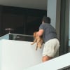 Illustration : Un gar&ccedil;on de seulement 12 ans escalade un immeuble pour sauver un chiot en d&eacute;tresse coinc&eacute; sur une corniche