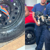 Illustration : Un chiot coinc&eacute; dans la jante d'une roue de secours est lib&eacute;r&eacute; gr&acirc;ce au minutieux sauvetage des pompiers