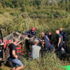 Illustration : Dans l&rsquo;Aisne (02), tout un village se mobilise pour sauver un poulain embourb&eacute; dans un marais
