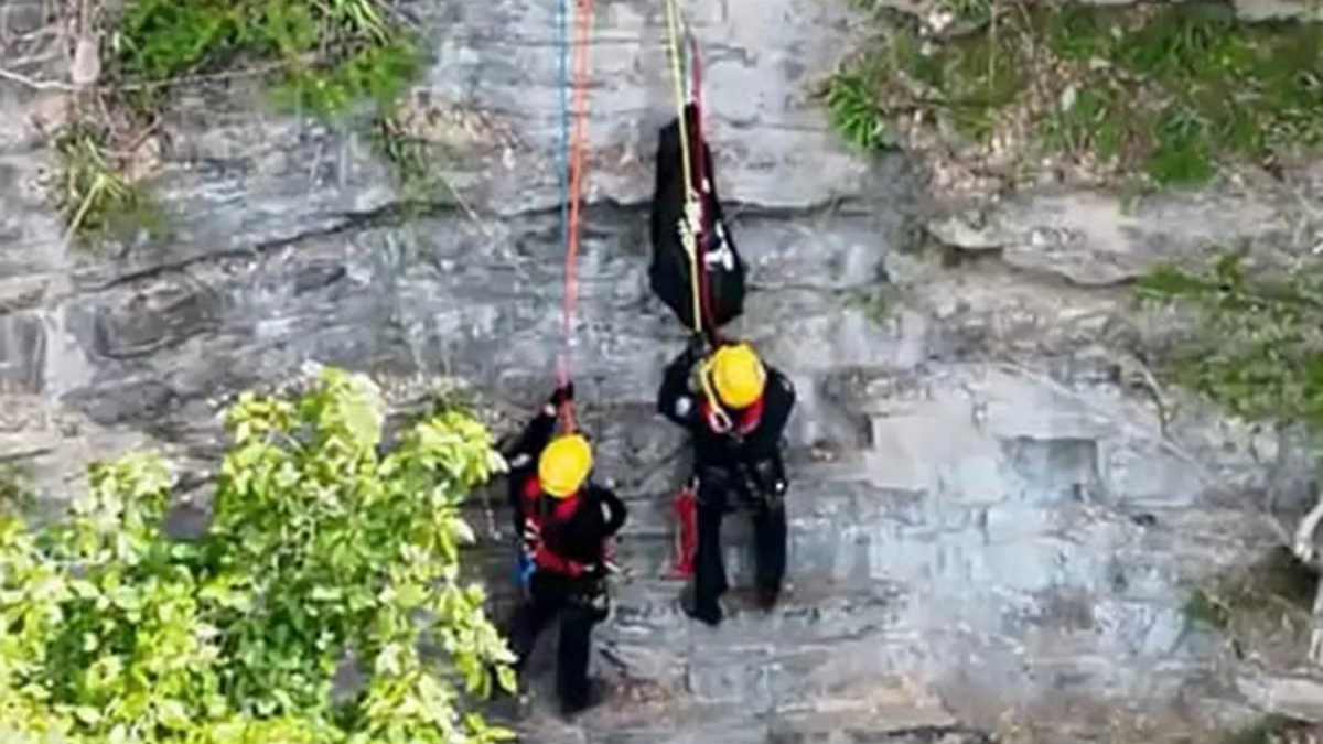 Illustration : "Ce chien, coincé sur une corniche pendant 17 heures après une chute de 60 mètres, est sauvé par les pompiers (vidéo)"