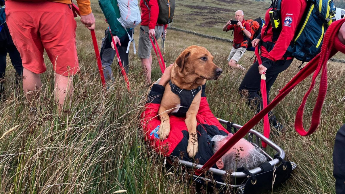 Illustration : "Pour rassurer son chien blessé après une chute en montagne, ce propriétaire n'hésite pas à partager sa civière (vidéo)"