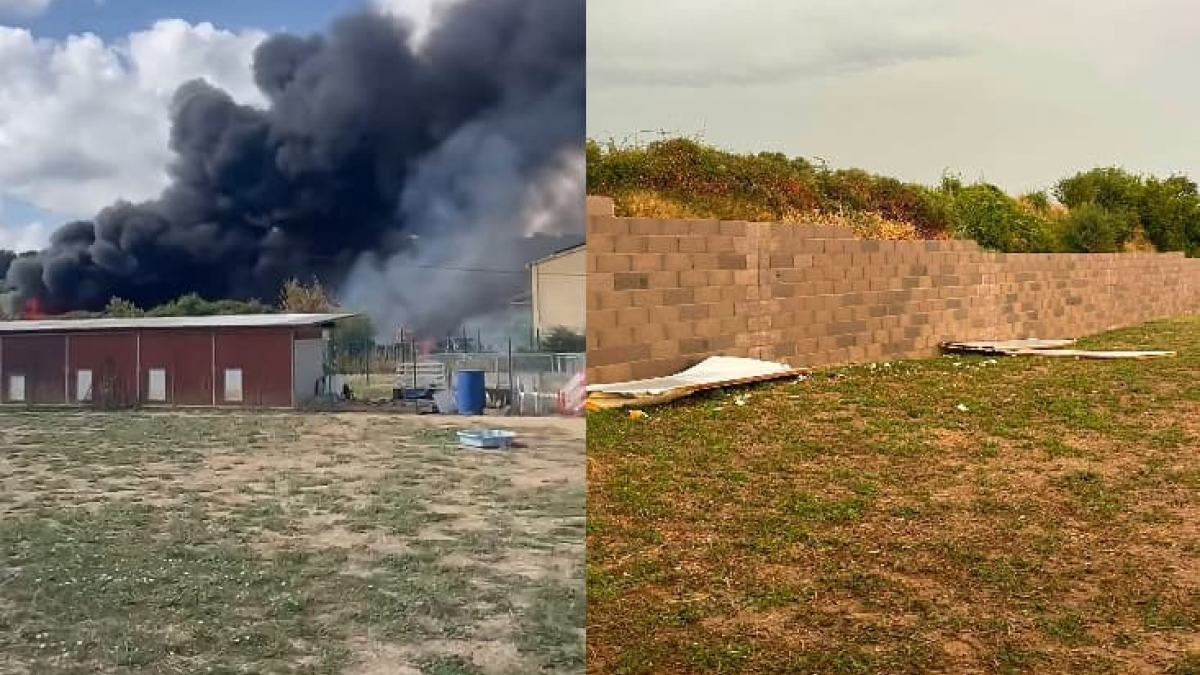Illustration : "Menacés par un incendie puis une tempête, 60 chiens et 30 chiots sont sauvés dans l'Hérault"