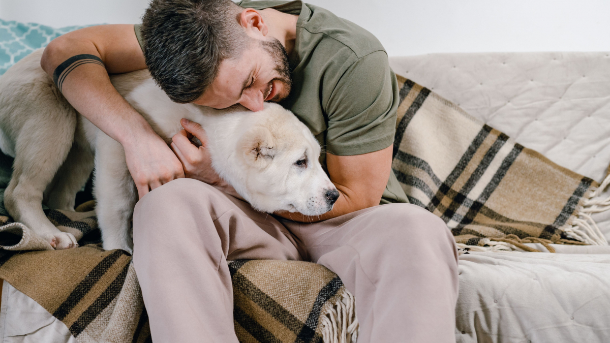 Illustration : "7 comportements du chien qui indiquent qu’il vous pardonne à sa manière quand vous le blessez"