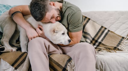 Illustration : 7 comportements du chien qui indiquent qu&rsquo;il vous pardonne &agrave; sa mani&egrave;re quand vous le blessez