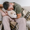 Illustration : 7 comportements du chien qui indiquent qu&rsquo;il vous pardonne &agrave; sa mani&egrave;re quand vous le blessez