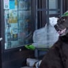 Illustration : Ce Labrador pille les rayons du supermarch&eacute; depuis des ann&eacute;es, mais le butin n'est pas pour lui (vid&eacute;o)