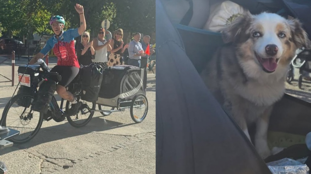 Illustration : "Ce chien et sa maîtresse gendarme vont parcourir 1400 km à vélo sur un tracé en forme de coeur pour la bonne cause"