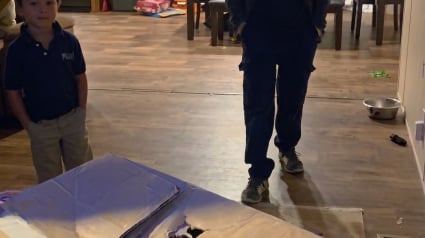 Illustration : De retour du travail, ce p&egrave;re ram&egrave;ne une bo&icirc;te en carton d'un chantier pour surprendre ses fils (vid&eacute;o)