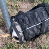 Illustration : Enferm&eacute; dans un sac de transport sur le bas-c&ocirc;t&eacute;, l'abandon de ce chat oblige la mairie &agrave; traquer le coupable