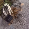 Illustration : Un policier inspecte une aire d'autoroute et tombe sur un chiot enferm&eacute; dans une cage (vid&eacute;o)