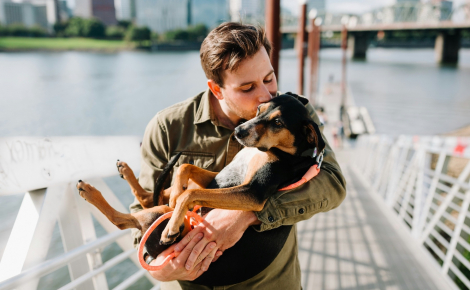 Quand le chien ou le chat devient « notre bébé » : les Français repensent leur quotidien autour de leur animal