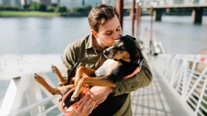 Illustration : Quand le chien ou le chat devient &laquo; notre b&eacute;b&eacute; &raquo; : les Fran&ccedil;ais repensent leur quotidien autour de leur animal