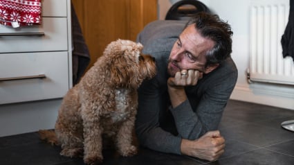 Illustration : 10 petites phrases &agrave; dire &agrave; votre chien pour booster sa confiance en lui