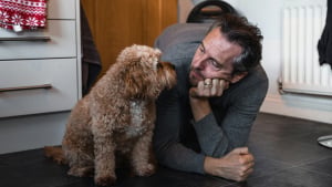 Illustration : 10 petites phrases &agrave; dire &agrave; votre chien pour booster sa confiance en lui