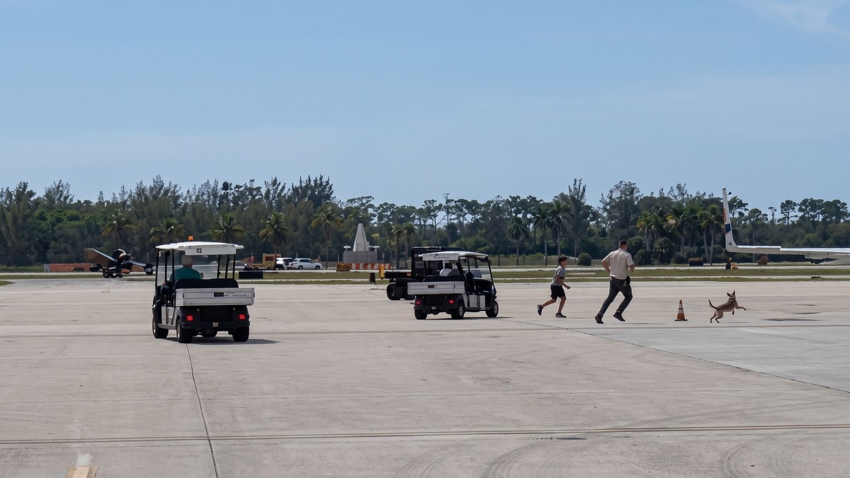Illustration : "Un chien surgit sur le tarmac d’un aéroport et les agents le poursuivent à pied et en voiturette (vidéo)"