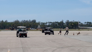 Illustration : Un chien surgit sur le tarmac d’un aéroport et les agents le poursuivent à pied et en voiturette (vidéo)