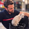 Illustration : Saumos, le chaton abandonn&eacute; dans une poubelle, rejoint la caserne des pompiers qui l&rsquo;ont sauv&eacute;