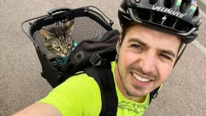 Illustration : Cathode, la chatte qui accompagne son ma&icirc;tre &agrave; v&eacute;lo, &agrave; moto et au ski, en 15 photos