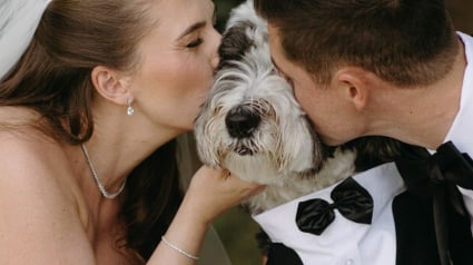 Illustration : Ce chien accueille les invit&eacute;s au mariage de ses ma&icirc;tres avec une cam&eacute;ra attach&eacute;e &agrave; son collier (vid&eacute;o)