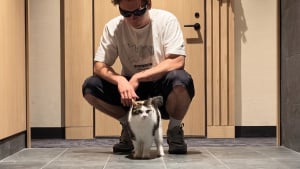 Illustration : Cette chatte agite la patte chaque jour pour rejoindre ses voisins de palier et réclamer des câlins (vidéo)