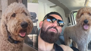 Illustration : Un maître cherche son chien disparu, puis apprend qu’un couple l’a acheté plus de 700 euros devant un centre commercial