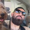 Illustration : Un ma&icirc;tre cherche son chien disparu, puis apprend qu&rsquo;un couple l&rsquo;a achet&eacute; plus de 700 euros devant un centre commercial