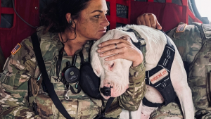 Illustration : Ce chien abandonné à cause de sa surdité rejoint une unité militaire pour réconforter les soldats