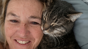 Illustration : Ce chat disparu depuis 3 mois retrouve sa famille grâce à une photo diffusée à la télévision